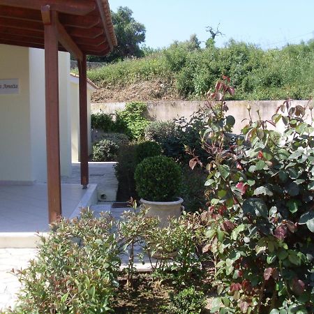 Villa Amelia Metaxáta エクステリア 写真